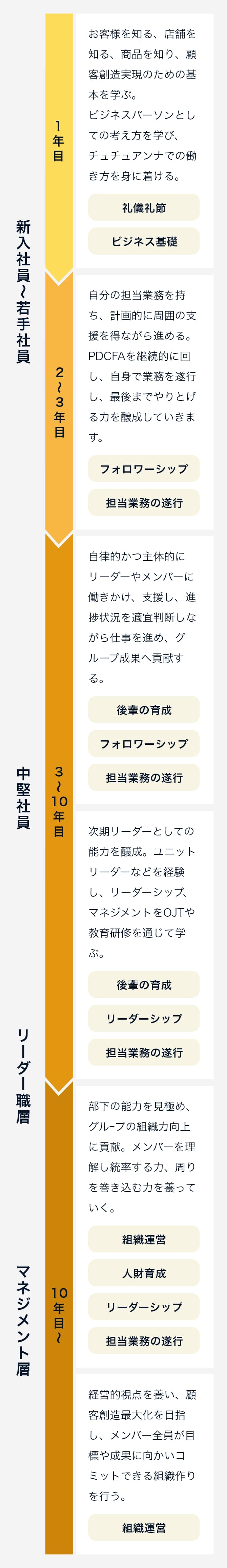 キャリアステップの図